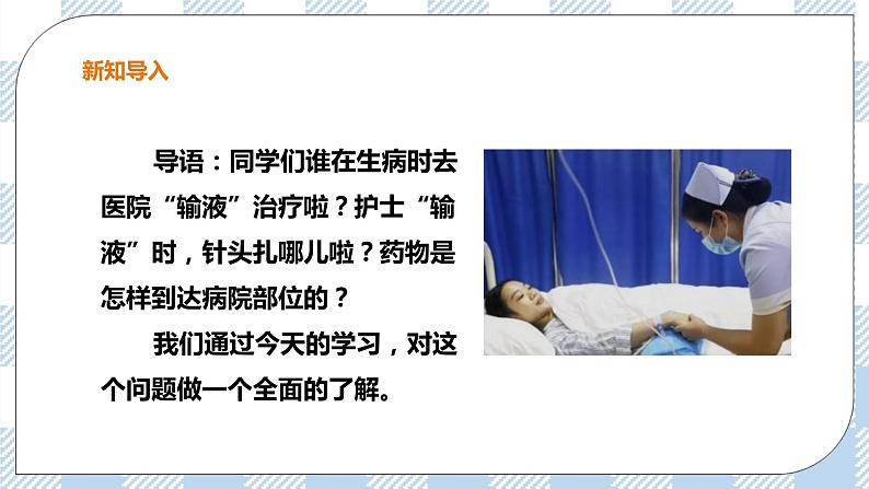 2.2.3 物质运输的路线 课件+教案+练习+视频02