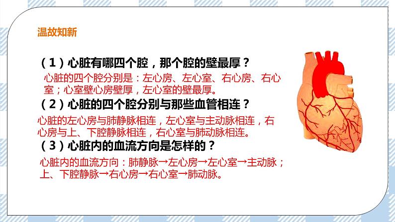 2.2.3 物质运输的路线 课件+教案+练习+视频03