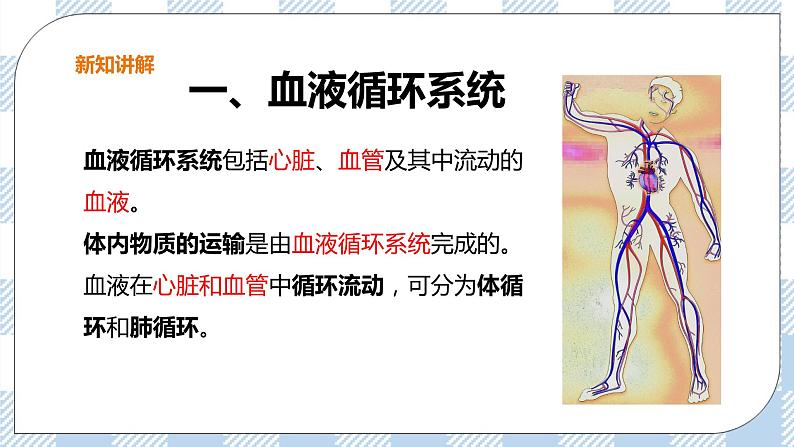 2.2.3 物质运输的路线 课件+教案+练习+视频05