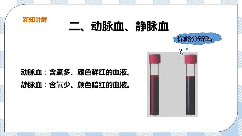 2.2.3 物质运输的路线 课件+教案+练习+视频06