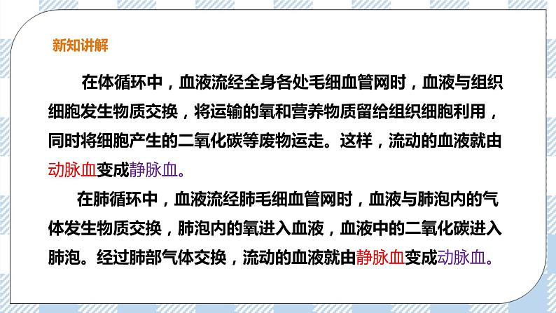 2.2.3 物质运输的路线 课件+教案+练习+视频07