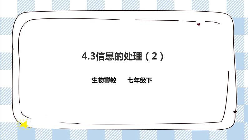 4.3 信息的处理 第2课时 课件+教案+练习+视频01