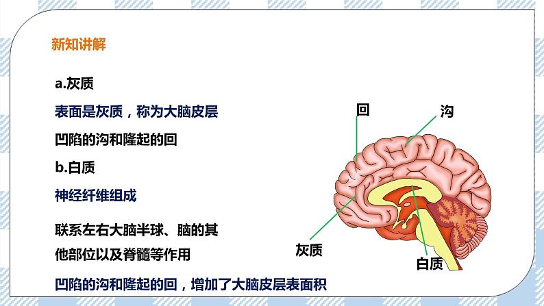 4.3 信息的处理 第2课时 课件+教案+练习+视频06
