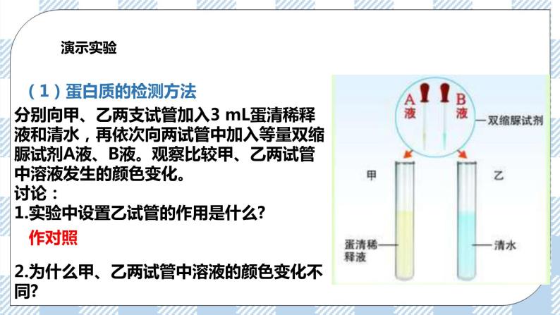 4.8.1人类的食物 课件+同步练习+视频05