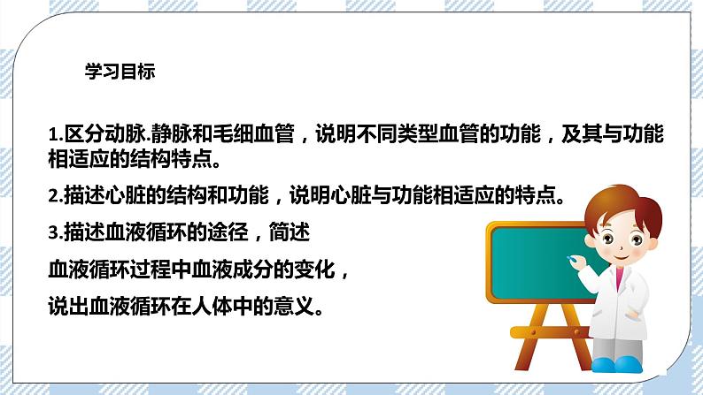 4.9.2血液循环 课件第2页