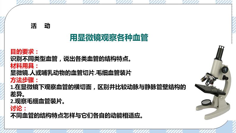 4.9.2血液循环 课件第5页