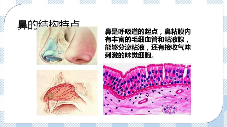 4.10.2人体细胞获得氧气的过程 课件+同步练习+视频07