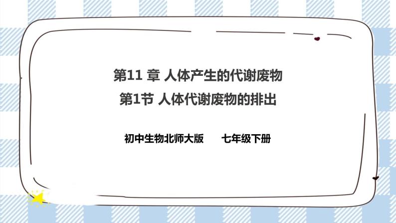 4.11.1人体产生的代谢废物 课件+同步练习+视频01