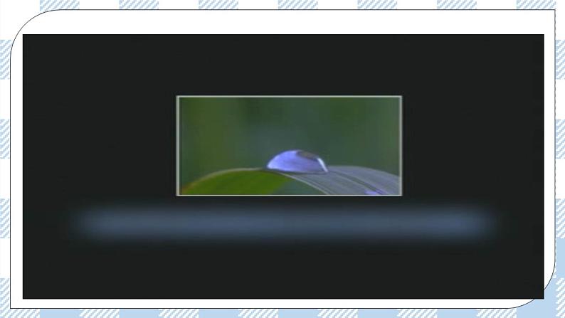 4.12.3激素调节 课件第8页
