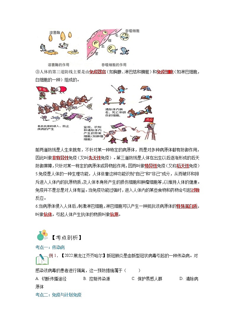 【寒假自学】2023年人教版生物八年级-第07讲《生命起源和生物进化》寒假精品讲学案02