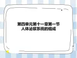 4.11.1人体泌尿系统的组成 课件+视频+练习