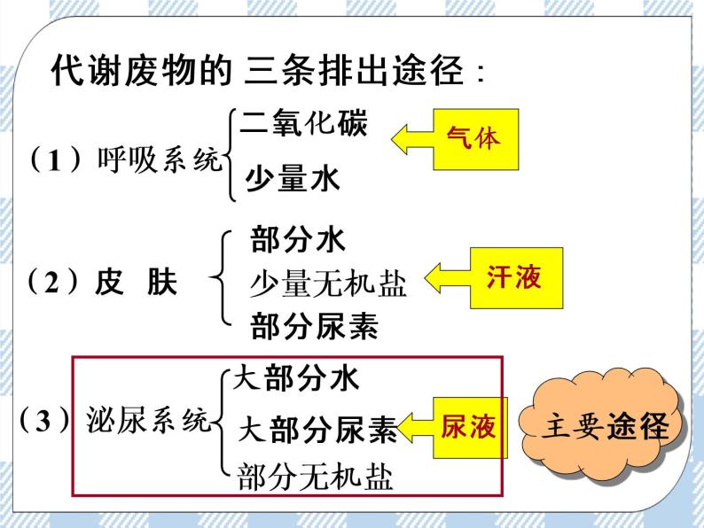 4.11.1人体泌尿系统的组成 课件+视频+练习05