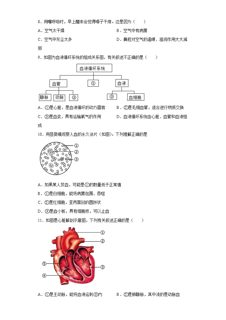 山东省泰安市新泰市2022-2023学年七年级上学期期末生物试题(含答案)03