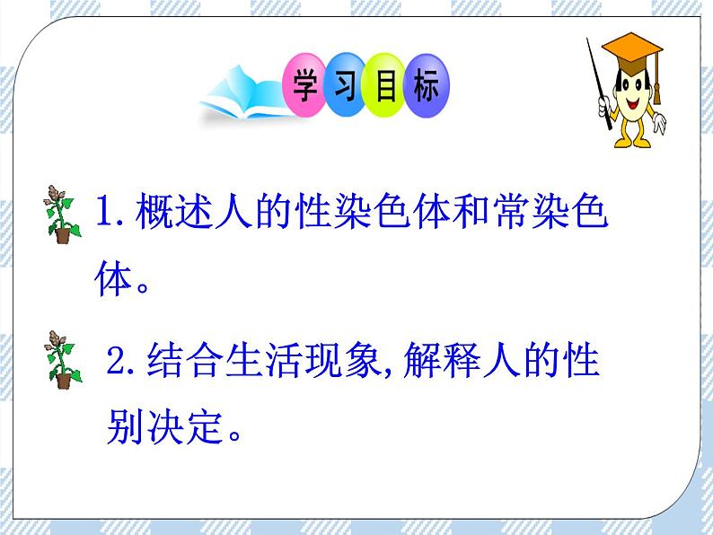 22.3人的性别决定 课件03