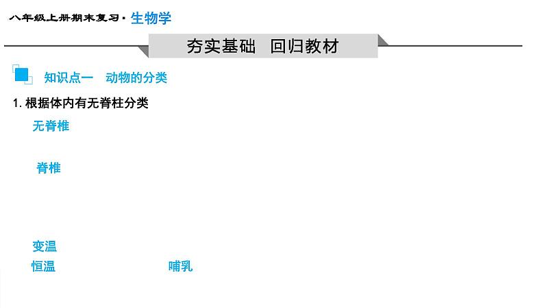 专题15 动物的主要类群课件PPT03