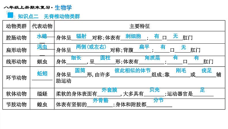 专题15 动物的主要类群课件PPT04