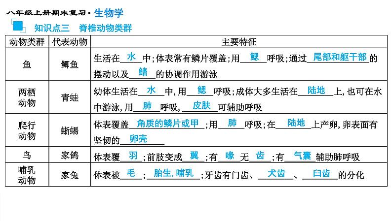 专题15 动物的主要类群课件PPT05