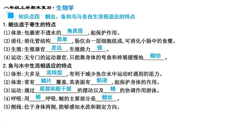 专题15 动物的主要类群课件PPT06