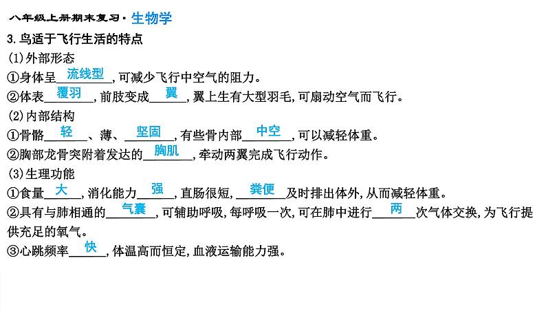 专题15 动物的主要类群课件PPT07