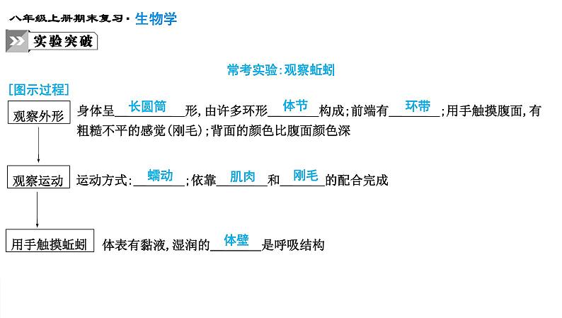 专题15 动物的主要类群课件PPT08