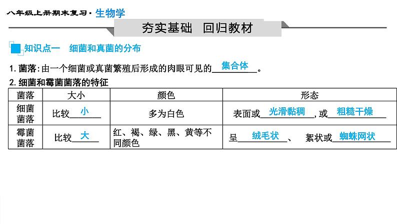 专题17 细菌、真菌和病毒课件PPT第3页