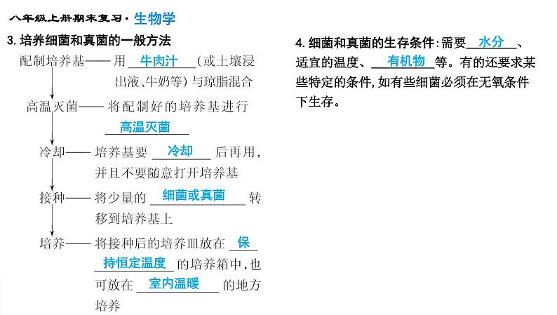 专题17 细菌、真菌和病毒课件PPT第4页