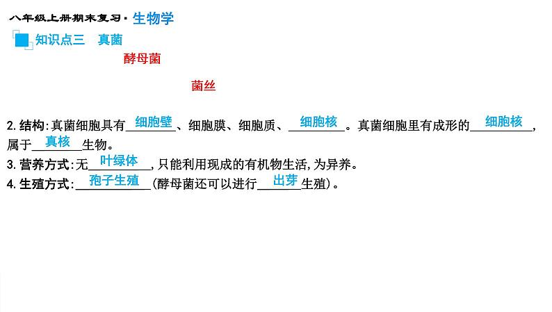 专题17 细菌、真菌和病毒课件PPT第6页