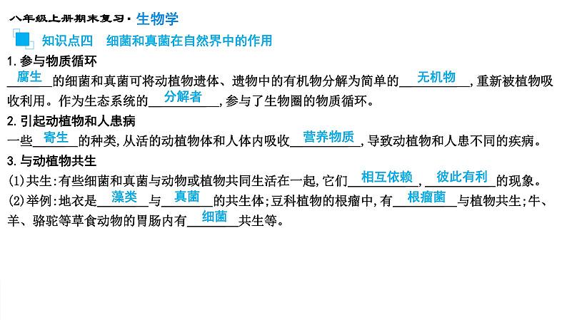 专题17 细菌、真菌和病毒课件PPT第7页