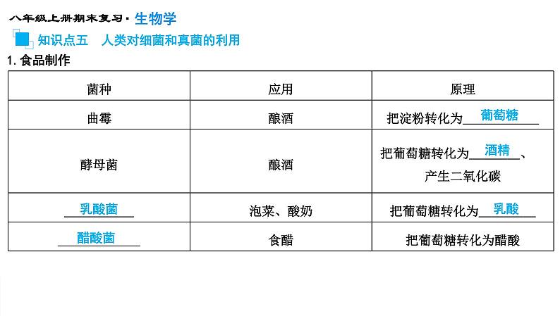 专题17 细菌、真菌和病毒课件PPT第8页