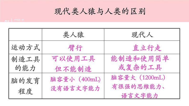 2012年人教版七年级下册《人类的起源和发展》PPT课件第7页