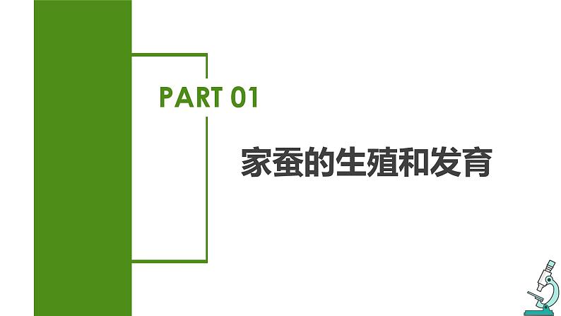 7.1.2 昆虫的生殖和发育(教学课件)-2022-2023学年八年级下册生物同步备课系列(人教版)第5页
