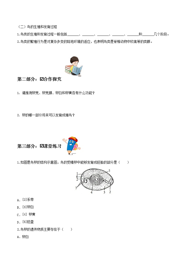 7.1.4 鸟的生殖和发育(导学案)-2022-2023学年八年级下册生物同步备课系列(人教版)(原卷版)第2页