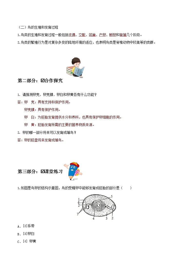 7.1.4 鸟的生殖和发育(导学案)-2022-2023学年八年级下册生物同步备课系列(人教版)(解析版)第2页