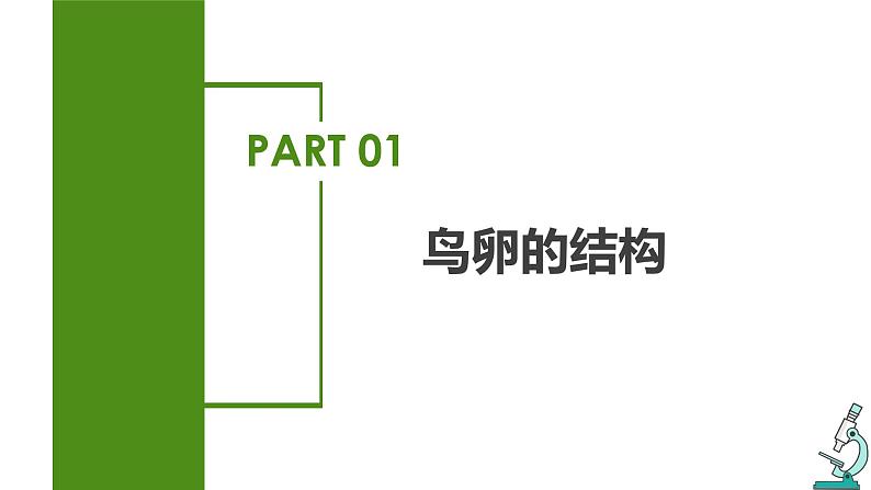 7.1.4 鸟的生殖和发育(教学课件)-2022-2023学年八年级下册生物同步备课系列(人教版)第6页
