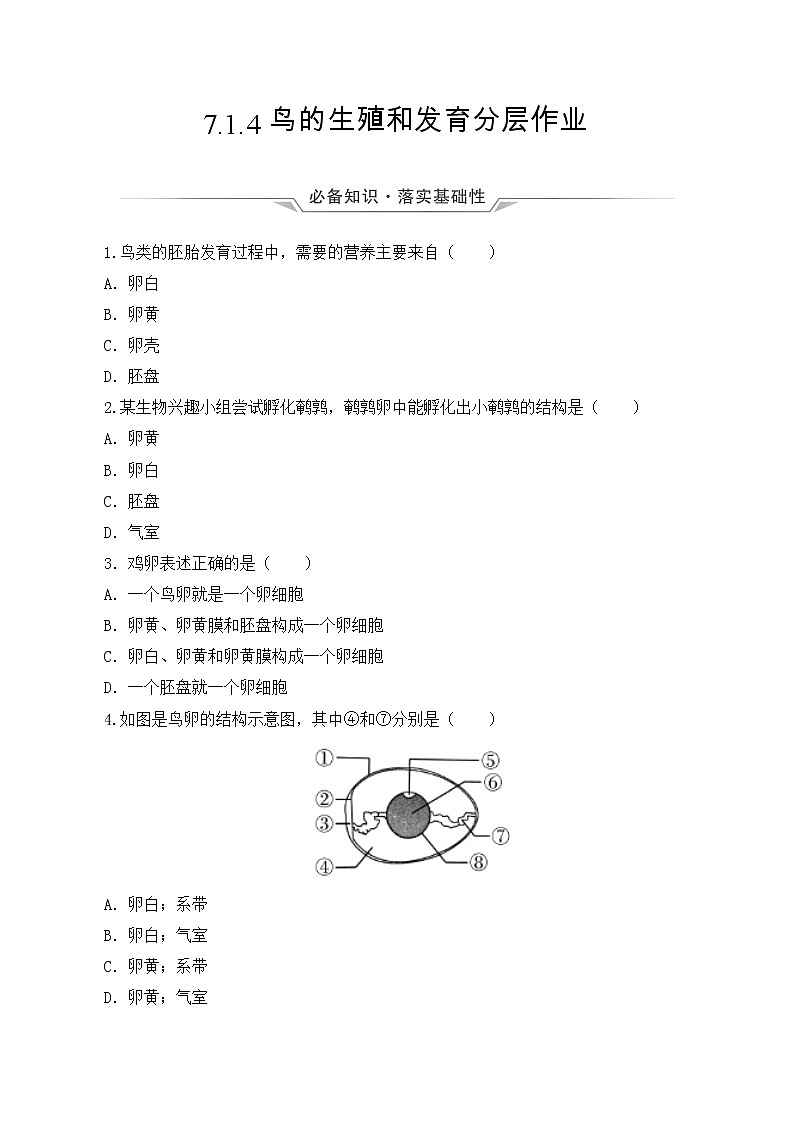 7.1.4 鸟的生殖和发育(分层作业)-2022-2023学年八年级下册生物同步备课系列(人教版)(原卷版)第1页