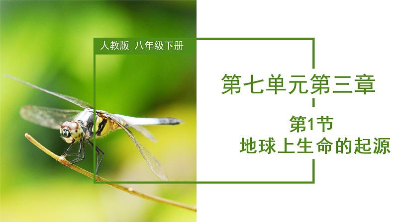 7.3.1 地球上生命的起源(课件带教案学案同步作业)2022-2023学年八年级下册生物同步备课系列(人教版)01