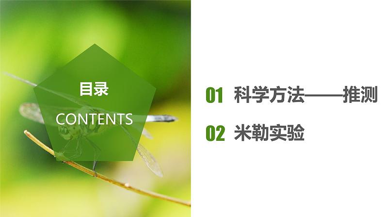 7.3.1 地球上生命的起源(课件带教案学案同步作业)2022-2023学年八年级下册生物同步备课系列(人教版)02