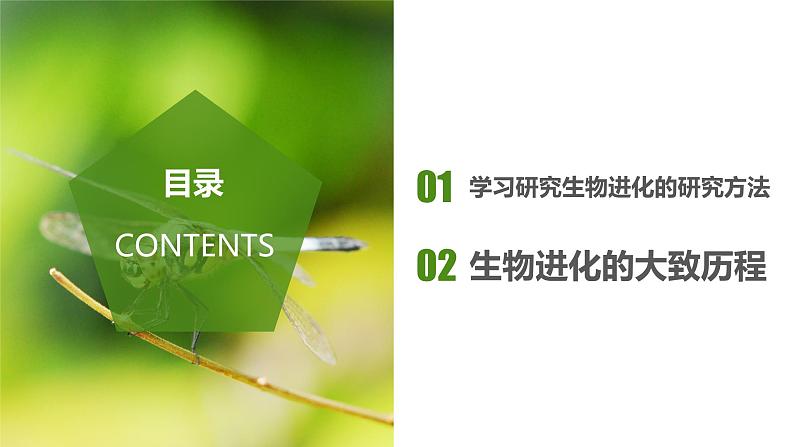 7.3.2 生物进化的历程(课件带教案学案同步作业)2022-2023学年八年级下册生物同步备课系列(人教版)02