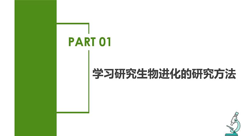 7.3.2 生物进化的历程(课件带教案学案同步作业)2022-2023学年八年级下册生物同步备课系列(人教版)04
