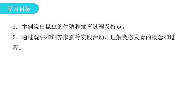人教版八年级生物下册第二节昆虫的生殖和发育课件第4页