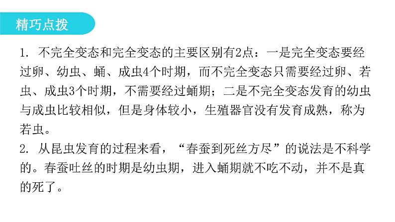人教版八年级生物下册第二节昆虫的生殖和发育课件第8页