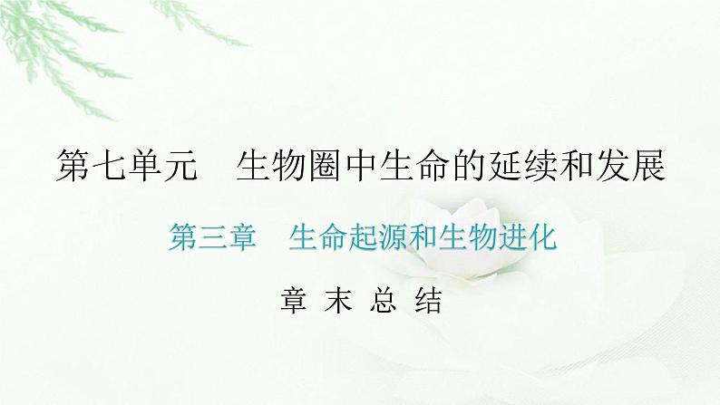 人教版八年级生物下册第七单元第三章章末总结课件第2页