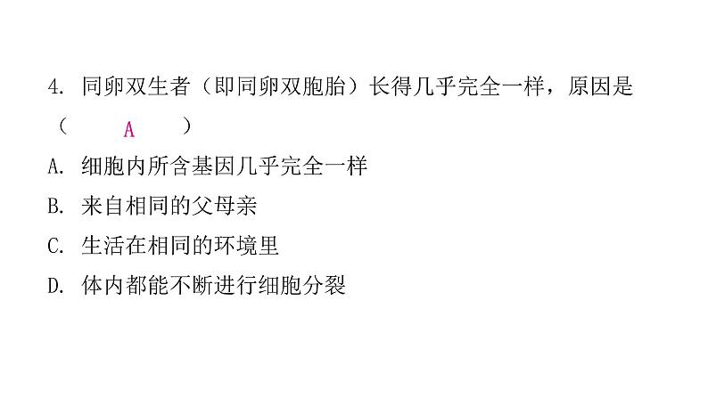 人教版八年级生物下册第一节基因控制生物的性状课后作业课件06