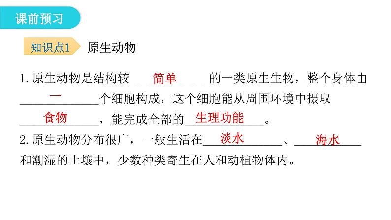 北师大版八年级生物下册第2节原生生物的主要类群课件05