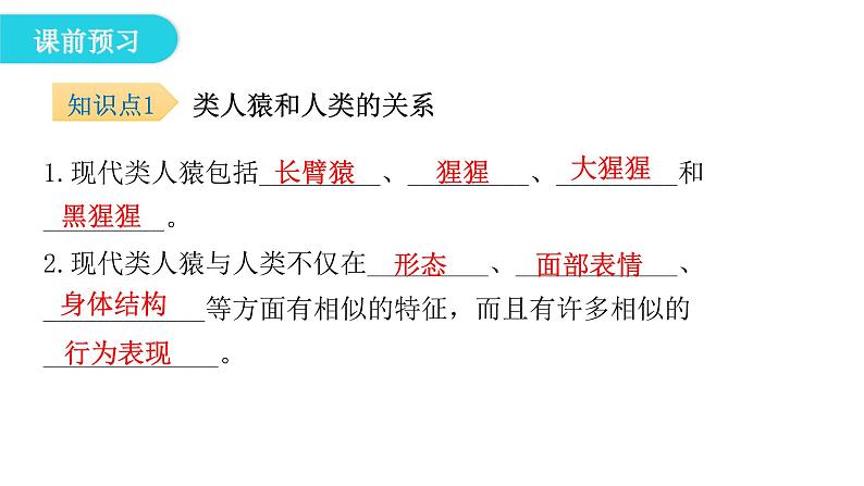 北师大版八年级生物下册第3节人类的起源与进化课件05