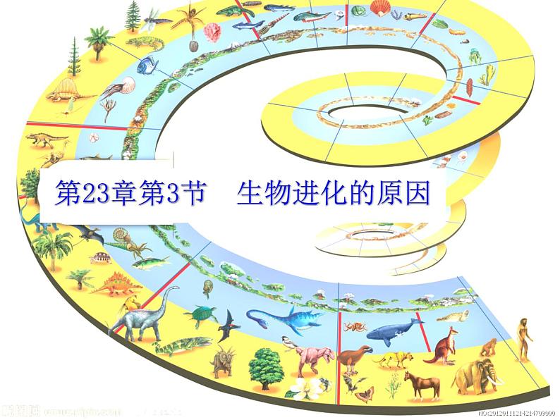 7.3.3 生物进化的原因(课件带教案学案同步作业)2022-2023学年八年级下册生物同步备课系列01