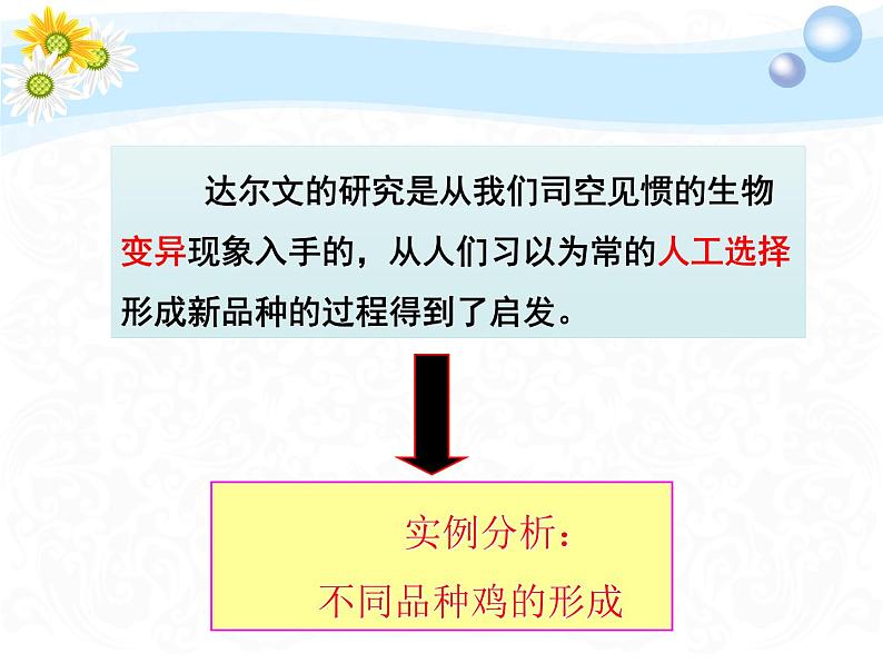 7.3.3 生物进化的原因(课件带教案学案同步作业)2022-2023学年八年级下册生物同步备课系列03
