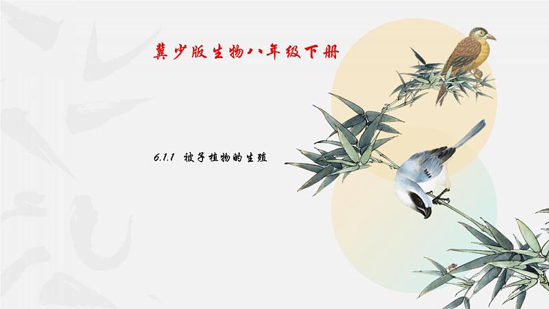 冀少版生物八年级下册 6.1.1被子植物的生殖 课件第1页