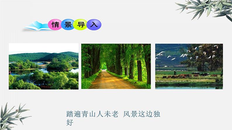 冀少版生物八年级下册 7.3.4保护生态环境 课件03