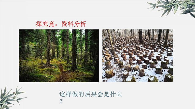 冀少版生物八年级下册 7.3.4保护生态环境 课件04